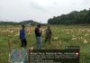 Babinsa Koramil 04/Letung Dorong Petani Bukit Padi Perkuat Ketahanan Pangan