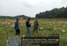 Babinsa Koramil 04/Letung Dorong Petani Bukit Padi Perkuat Ketahanan Pangan