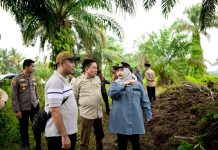 Tinjau Pembersihan Lahan, Kasmarni Dorong Bantuan Alat Berat Berkelanjutan Untuk Cegah Karhutla
