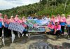 Bupati Aneng Bersama Dekranasda Tanam 150 Bibit Mangrove di Pantai Senggalong, Ajak Warga Jaga Pesisir