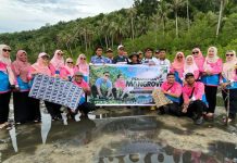 Bupati Aneng Bersama Dekranasda Tanam 150 Bibit Mangrove di Pantai Senggalong, Ajak Warga Jaga Pesisir