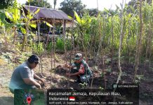 Babinsa Koramil 04/Letung Ajak Petani Bukit Padi Perkuat Ketahanan Pangan melalui Pertanian