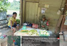 Babinsa Sertu Olih Solih Motivasi Petani Bukit Padi Kembangkan Tanaman Cabai